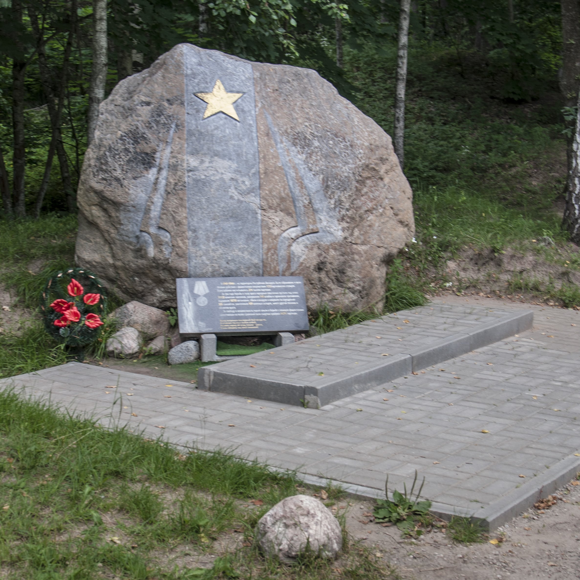 Чудеса Станьковского леса Чудеса Станьковского леса фото 3